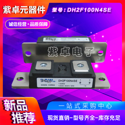 DH2F100N4S DH2F100N4SE原装大卫功率 模块正品 二极管模块